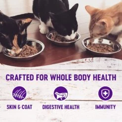 Wellness Healthy Indulgence Shreds Grain-Free Variety Pack Cat Food Pouches -Wellness Sales 145535 PT2. AC SS1800 V1621983512
