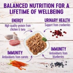 Wellness Healthy Indulgence Shreds Grain-Free Variety Pack Cat Food Pouches -Wellness Sales 145535 PT3. AC SS1800 V1621985923