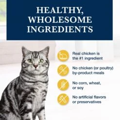 Blue Buffalo Natural Veterinary Diet K+M Kidney + Mobility Support Grain-Free Dry Cat Food 14 Blue Buffalo Natural Veterinary Diet K+M Kidney + Mobility Support Grain-Free Dry Cat Food -Wellness Sales 147676 PT5. AC SS1800 V1703091265