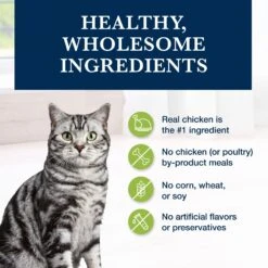 Blue Buffalo Natural Veterinary Diet GI Gastrointestinal Support Grain-Free Dry Cat Food 14 Blue Buffalo Natural Veterinary Diet GI Gastrointestinal Support Grain-Free Dry Cat Food -Wellness Sales 147678 PT5. AC SS1800 V1703091328