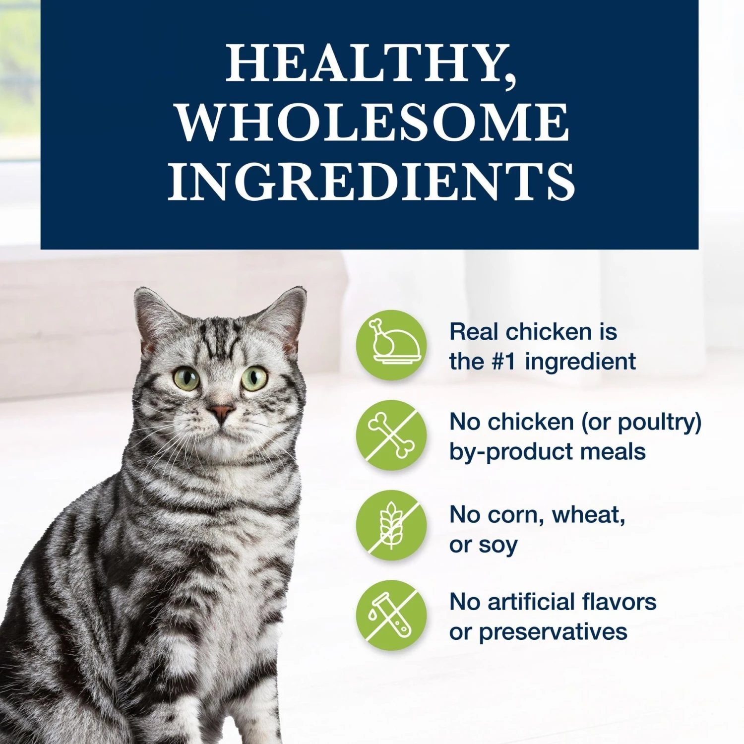 Blue Buffalo Natural Veterinary Diet GI Gastrointestinal Support Grain-Free Dry Cat Food 6 Blue Buffalo Natural Veterinary Diet GI Gastrointestinal Support Grain-Free Dry Cat Food - Image 6