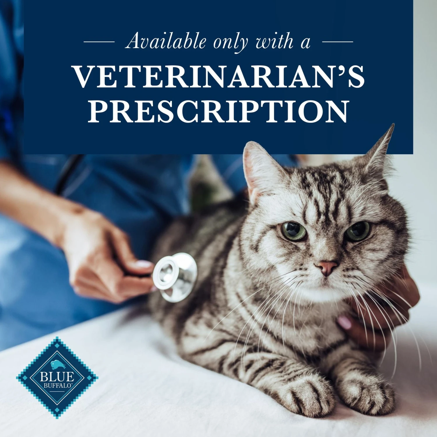 Blue Buffalo Natural Veterinary Diet GI Gastrointestinal Support Grain-Free Dry Cat Food 7 Blue Buffalo Natural Veterinary Diet GI Gastrointestinal Support Grain-Free Dry Cat Food - Image 7