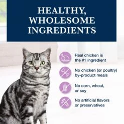 Blue Buffalo Natural Veterinary Diet W+U Weight Management + Urinary Care Grain-Free Dry Cat Food 14 Blue Buffalo Natural Veterinary Diet W+U Weight Management + Urinary Care Grain-Free Dry Cat Food -Wellness Sales 147682 PT5. AC SS1800 V1703091386
