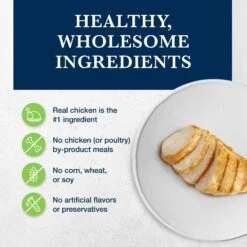 Blue Buffalo Natural Veterinary Diet GI Gastrointestinal Support Grain-Free Wet Cat Food 10 Blue Buffalo Natural Veterinary Diet GI Gastrointestinal Support Grain-Free Wet Cat Food -Wellness Sales 147686 PT2. AC SS1800 V1695132220