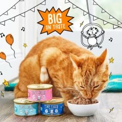 Tiny Tiger Chunks In Gravy Seafood Recipes Variety Pack Grain-Free Canned Cat Food 12 Tiny Tiger Chunks In Gravy Seafood Recipes Variety Pack Grain-Free Canned Cat Food -Wellness Sales 147766 PT4. AC SS1800 V1687284036
