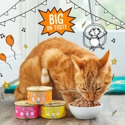 Tiny Tiger Chunks In EXTRA Gravy Beef Recipe Grain-Free Canned Cat Food -Wellness Sales 147778 PT4. AC SS1800 V1687286171