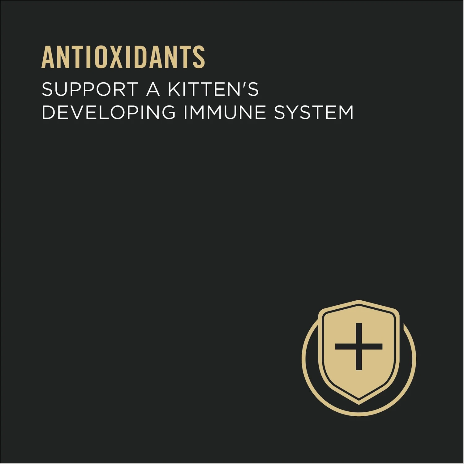 Purina Pro Plan Classic Chicken Grain-Free Kitten Entree Canned Cat Food 4 Purina Pro Plan Classic Chicken Grain-Free Kitten Entree Canned Cat Food - Image 4