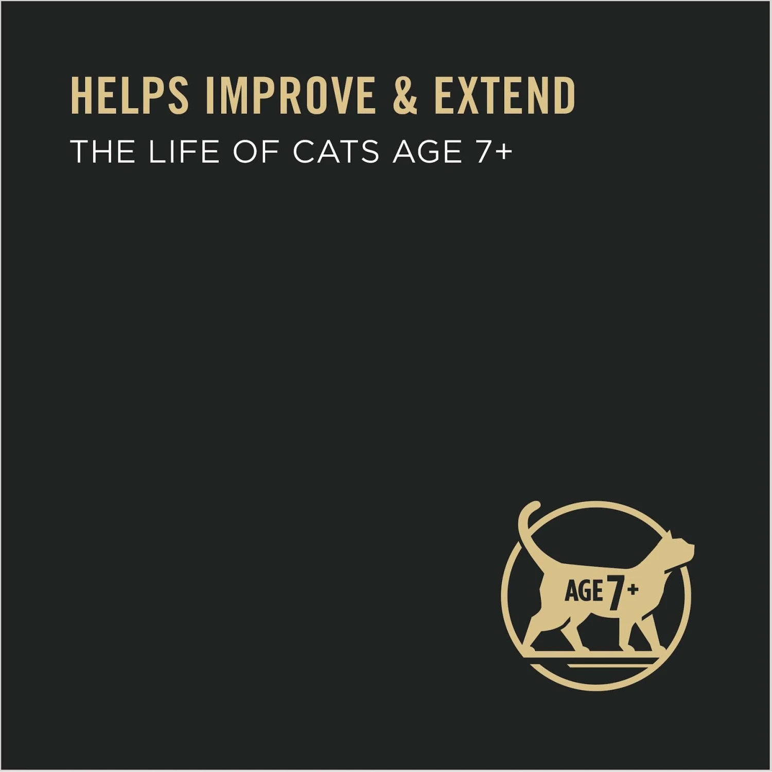 Purina Pro Plan Prime Plus 7+ Classic Cod & Shrimp Grain-Free Entree Canned Cat Food 4 Purina Pro Plan Prime Plus 7+ Classic Cod & Shrimp Grain-Free Entree Canned Cat Food - Image 4