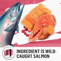 Purina Beyond Simply Indoor Wild-Caught Salmon, Egg & Sweet Potato Recipe Grain-Free Dry Cat Food 12 Purina Beyond Simply Indoor Wild-Caught Salmon, Egg & Sweet Potato Recipe Grain-Free Dry Cat Food -Wellness Sales 148008 PT3. AC SS1800 V1700158453