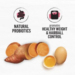 Purina Beyond Simply Indoor Wild-Caught Salmon, Egg & Sweet Potato Recipe Grain-Free Dry Cat Food 13 Purina Beyond Simply Indoor Wild-Caught Salmon, Egg & Sweet Potato Recipe Grain-Free Dry Cat Food -Wellness Sales 148008 PT4. AC SS1800 V1700159218