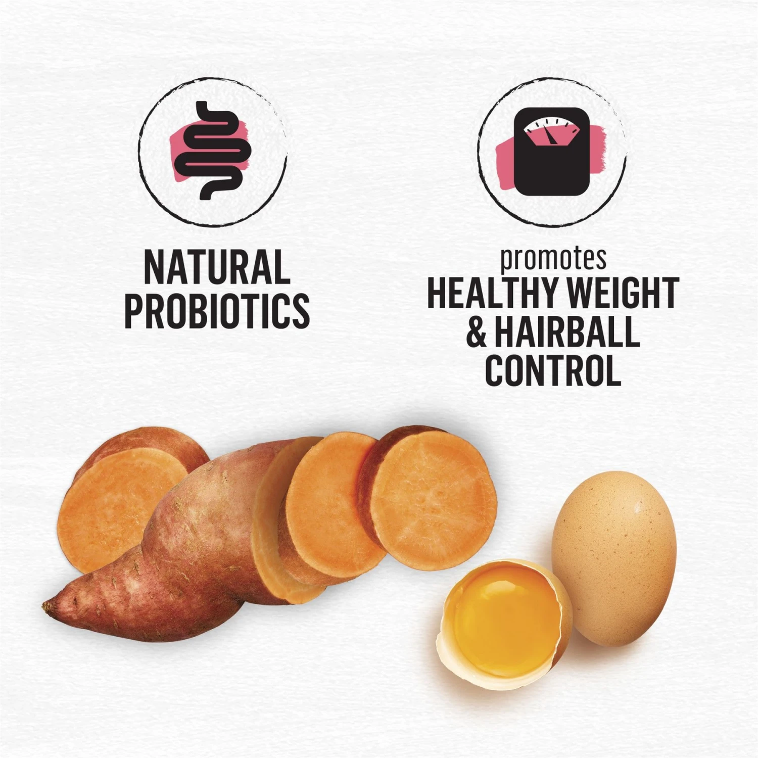 Purina Beyond Simply Indoor Wild-Caught Salmon, Egg & Sweet Potato Recipe Grain-Free Dry Cat Food 5 Purina Beyond Simply Indoor Wild-Caught Salmon, Egg & Sweet Potato Recipe Grain-Free Dry Cat Food - Image 5