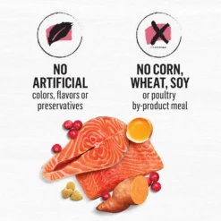 Purina Beyond Simply Indoor Wild-Caught Salmon, Egg & Sweet Potato Recipe Grain-Free Dry Cat Food 17 Purina Beyond Simply Indoor Wild-Caught Salmon, Egg & Sweet Potato Recipe Grain-Free Dry Cat Food -Wellness Sales 148008 PT8. AC SS1800 V1700159662