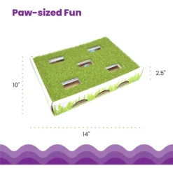 Catstages Grass Patch Hunting Box Cat Scratcher Toy -Wellness Sales 148104 PT4. AC SS1800 V1631685751