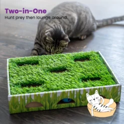 Catstages Grass Patch Hunting Box Cat Scratcher Toy -Wellness Sales 148104 PT5. AC SS1800 V1631689013