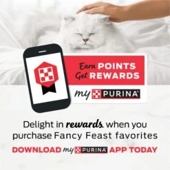 Fancy Feast Kitten Tender Chicken Feast Canned Cat Food -Wellness Sales 149824 PT4. AC SS1800 V1691419397