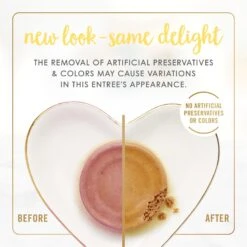 Fancy Feast Kitten Tender Salmon Feast Canned Cat Food -Wellness Sales 149827 PT2. AC SS1800 V1691417414