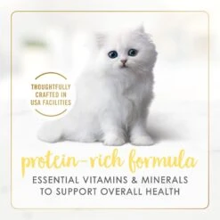 Fancy Feast Kitten Tender Salmon Feast Canned Cat Food -Wellness Sales 149827 PT3. AC SS1800 V1691416148