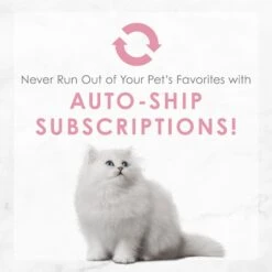 Fancy Feast Kitten Tender Salmon Feast Canned Cat Food -Wellness Sales 149827 PT8. AC SS1800 V1691419273