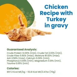 Almo Nature HQS Complete Chicken With Turkey Grain-Free Canned Cat Food -Wellness Sales 150645 PT4. AC SS1800 V1639539100