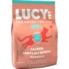 Lucy Pet Products Formulas For Life Salmon, Pumpkin & Quinoa Formula Grain-Free Dry Cat Food