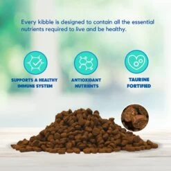 Lucy Pet Products Formulas For Life Salmon, Pumpkin & Quinoa Formula Grain-Free Dry Cat Food 10 Lucy Pet Products Formulas For Life Salmon, Pumpkin & Quinoa Formula Grain-Free Dry Cat Food -Wellness Sales 151358 PT3. AC SS1800 V1581698372