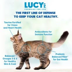 Lucy Pet Products Formulas For Life Salmon, Pumpkin & Quinoa Formula Grain-Free Dry Cat Food 12 Lucy Pet Products Formulas For Life Salmon, Pumpkin & Quinoa Formula Grain-Free Dry Cat Food -Wellness Sales 151358 PT5. AC SS1800 V1581698342