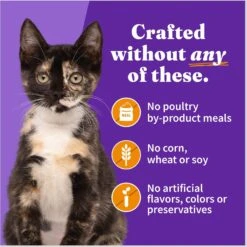 Halo Chicken Recipe With Real Whole Chicken Grain-Free Kitten Wet Food 12 Halo Chicken Recipe With Real Whole Chicken Grain-Free Kitten Wet Food -Wellness Sales 153680 PT5. AC SS1800 V1682351624