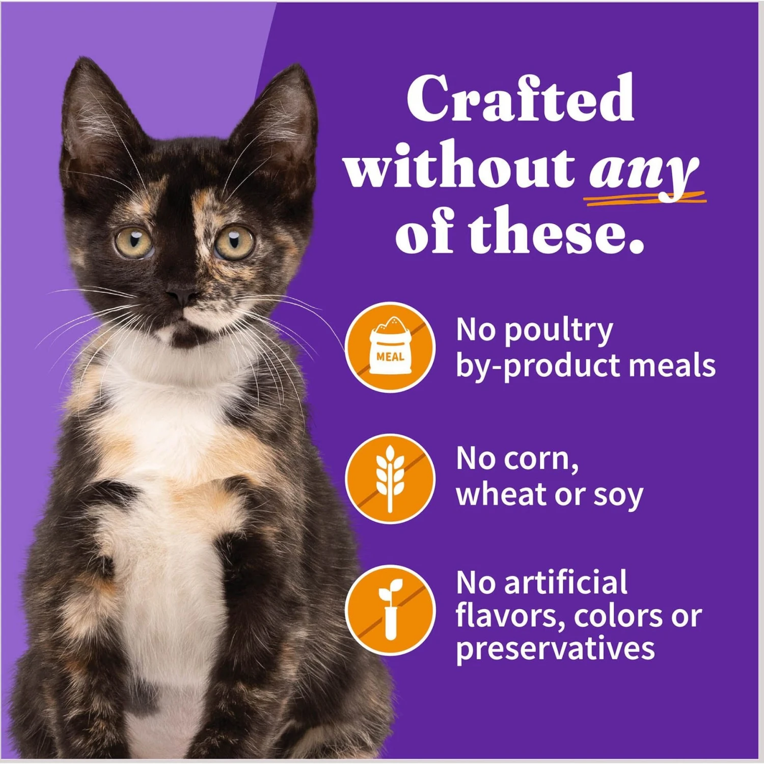 Halo Chicken Recipe With Real Whole Chicken Grain-Free Kitten Wet Food 6 Halo Chicken Recipe With Real Whole Chicken Grain-Free Kitten Wet Food - Image 6