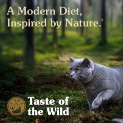 Taste Of The Wild Rocky Mountain Roasted Venison & Smoke-Flavored Salmon Grain-Free Dry Cat Food 12 Taste Of The Wild Rocky Mountain Roasted Venison & Smoke-Flavored Salmon Grain-Free Dry Cat Food -Wellness Sales 154558 PT5. AC SS1800 V1641250002