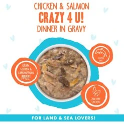 BFF OMG Crazy 4 U! Chicken & Salmon Dinner In Gravy Grain-Free Canned Cat Food -Wellness Sales 154843 PT2. AC SS1800 V1646842666