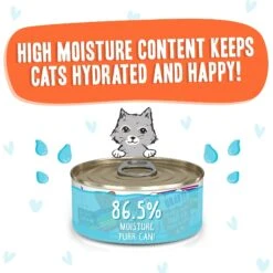 BFF OMG Crazy 4 U! Chicken & Salmon Dinner In Gravy Grain-Free Canned Cat Food -Wellness Sales 154843 PT3. AC SS1800 V1646847703