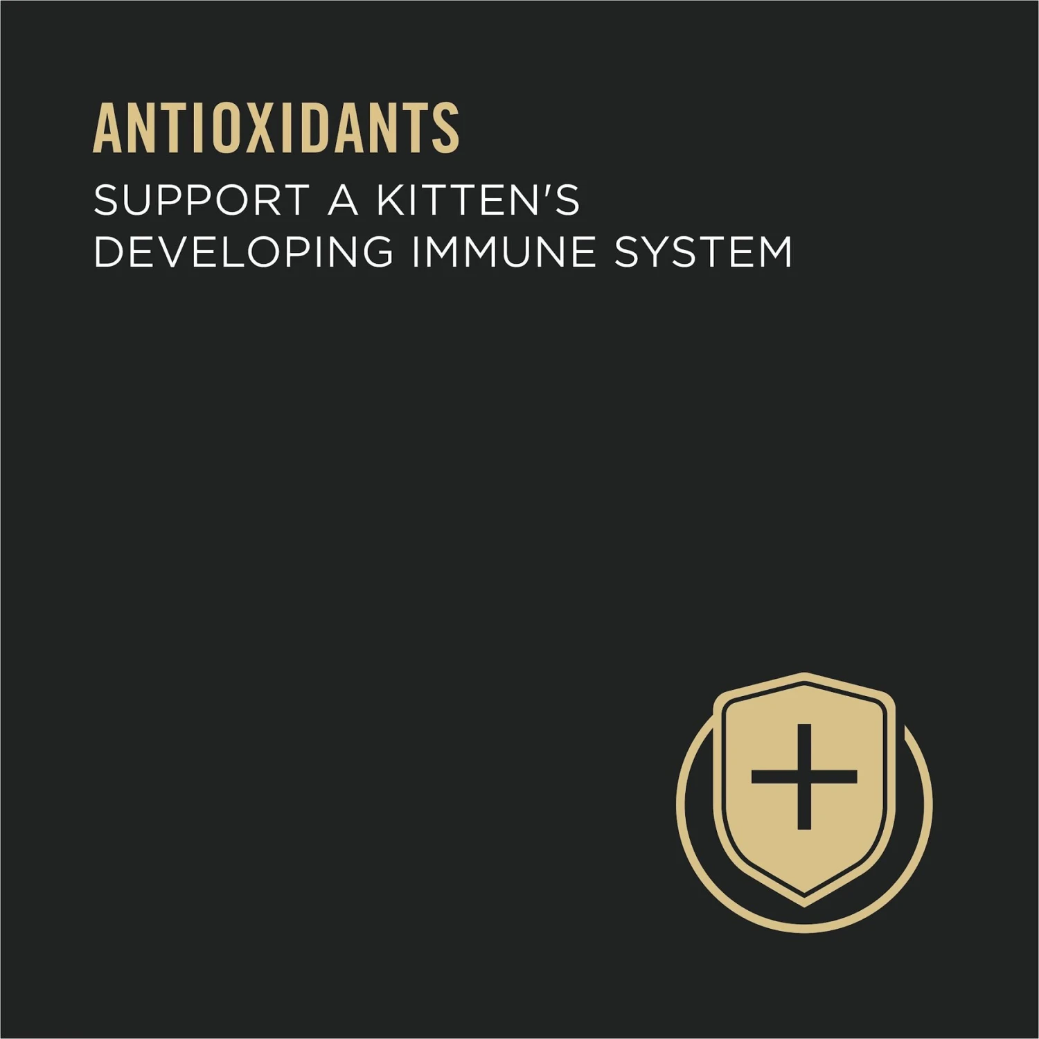 Purina Pro Plan Focus Kitten Favorites Variety Pack Canned Cat Food 6 Purina Pro Plan Focus Kitten Favorites Variety Pack Canned Cat Food - Image 6