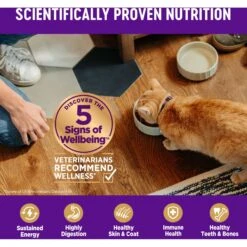 Wellness Complete Health Chicken & Deboned Chicken Grain-Free Senior Dry Cat Food -Wellness Sales 155316 PT4. AC SS1800 V1636513102