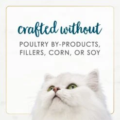 Fancy Feast Gourmet Naturals Tuna Recipe In Gravy Canned Cat Food 15 Fancy Feast Gourmet Naturals Tuna Recipe In Gravy Canned Cat Food -Wellness Sales 155539 PT6. AC SS1800 V1677102451