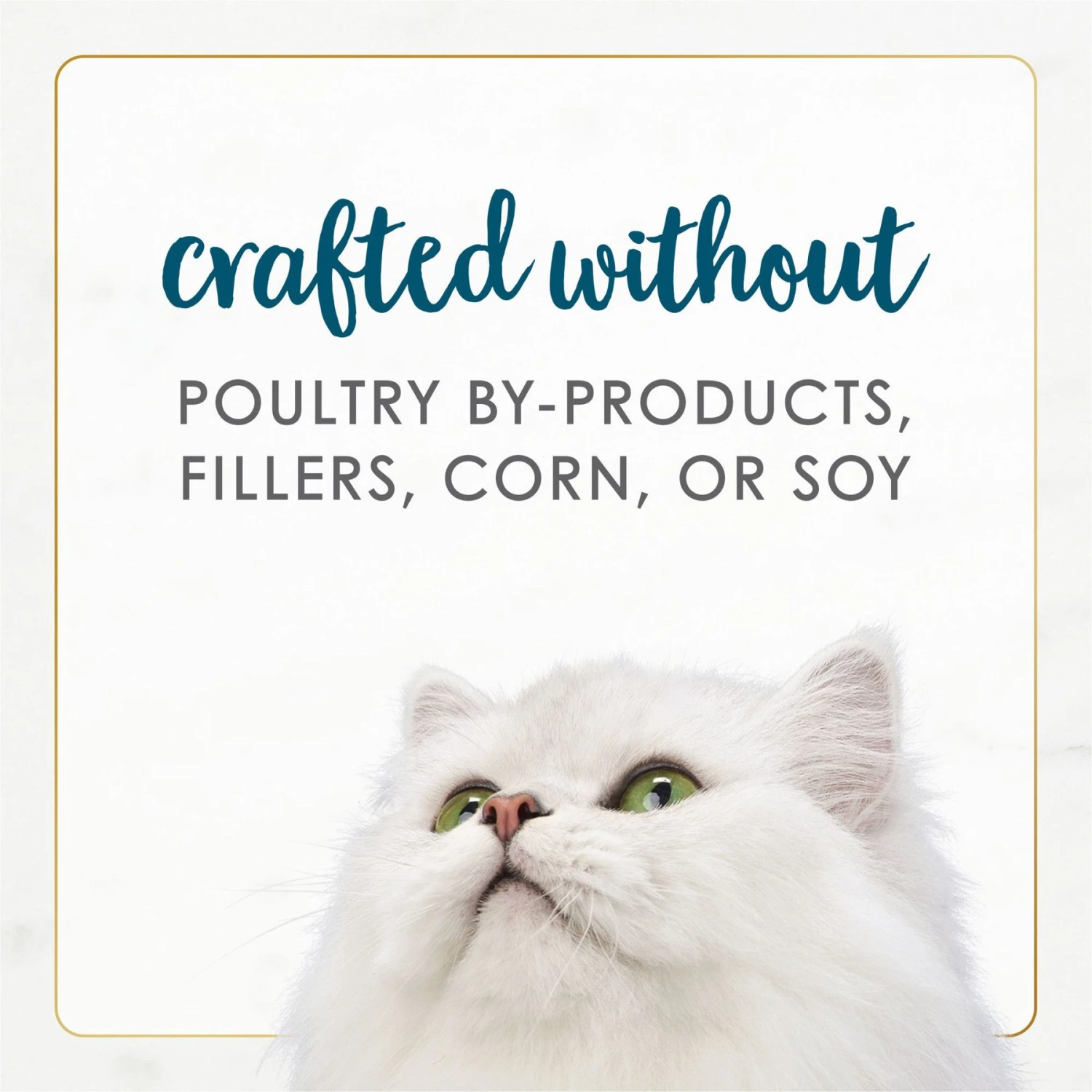 Fancy Feast Gourmet Naturals Tuna Recipe In Gravy Canned Cat Food 7 Fancy Feast Gourmet Naturals Tuna Recipe In Gravy Canned Cat Food - Image 7