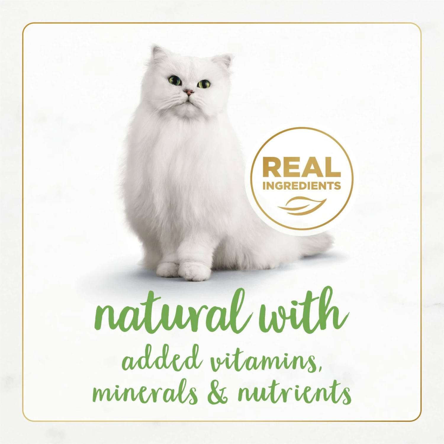 Fancy Feast Gourmet Naturals White Meat Chicken Recipe Pate Canned Cat Food, 3-oz, Case Of 12 4 Fancy Feast Gourmet Naturals White Meat Chicken Recipe Pate Canned Cat Food, 3-oz, Case Of 12 - Image 4