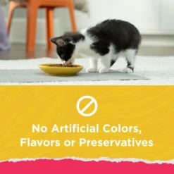 Kitten Chow Naturals Original With Added Vitamins, Minerals & Nutrients Dry Cat Food -Wellness Sales 155804 PT2. AC SS1800 V1695836515