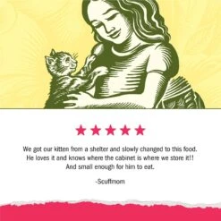 Kitten Chow Naturals Original With Added Vitamins, Minerals & Nutrients Dry Cat Food -Wellness Sales 155804 PT6. AC SS1800 V1695836515