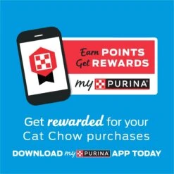 Kitten Chow Naturals Original With Added Vitamins, Minerals & Nutrients Dry Cat Food -Wellness Sales 155804 PT7. AC SS1800 V1695836521