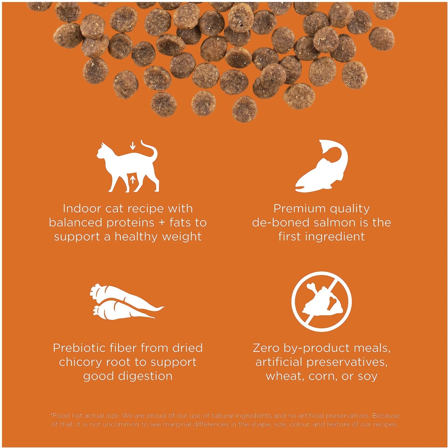 Go! Solutions Skin + Coat Care Grain-Free Salmon Recipe Dry Cat Food 3 Go! Solutions Skin + Coat Care Grain-Free Salmon Recipe Dry Cat Food - Image 3