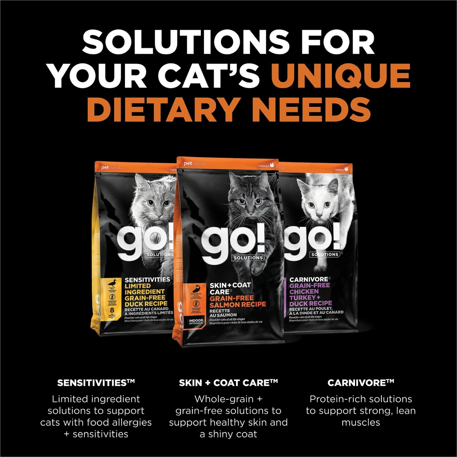 Go! Solutions Skin + Coat Care Grain-Free Salmon Recipe Dry Cat Food 5 Go! Solutions Skin + Coat Care Grain-Free Salmon Recipe Dry Cat Food - Image 5