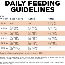 Go! Solutions Skin + Coat Care Grain-Free Salmon Recipe Dry Cat Food 15 Go! Solutions Skin + Coat Care Grain-Free Salmon Recipe Dry Cat Food -Wellness Sales 157019 PT6. AC SS1800 V1638832355