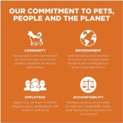 Go! Solutions Skin + Coat Care Grain-Free Salmon Recipe Dry Cat Food 17 Go! Solutions Skin + Coat Care Grain-Free Salmon Recipe Dry Cat Food -Wellness Sales 157019 PT8. AC SS1800 V1638835595