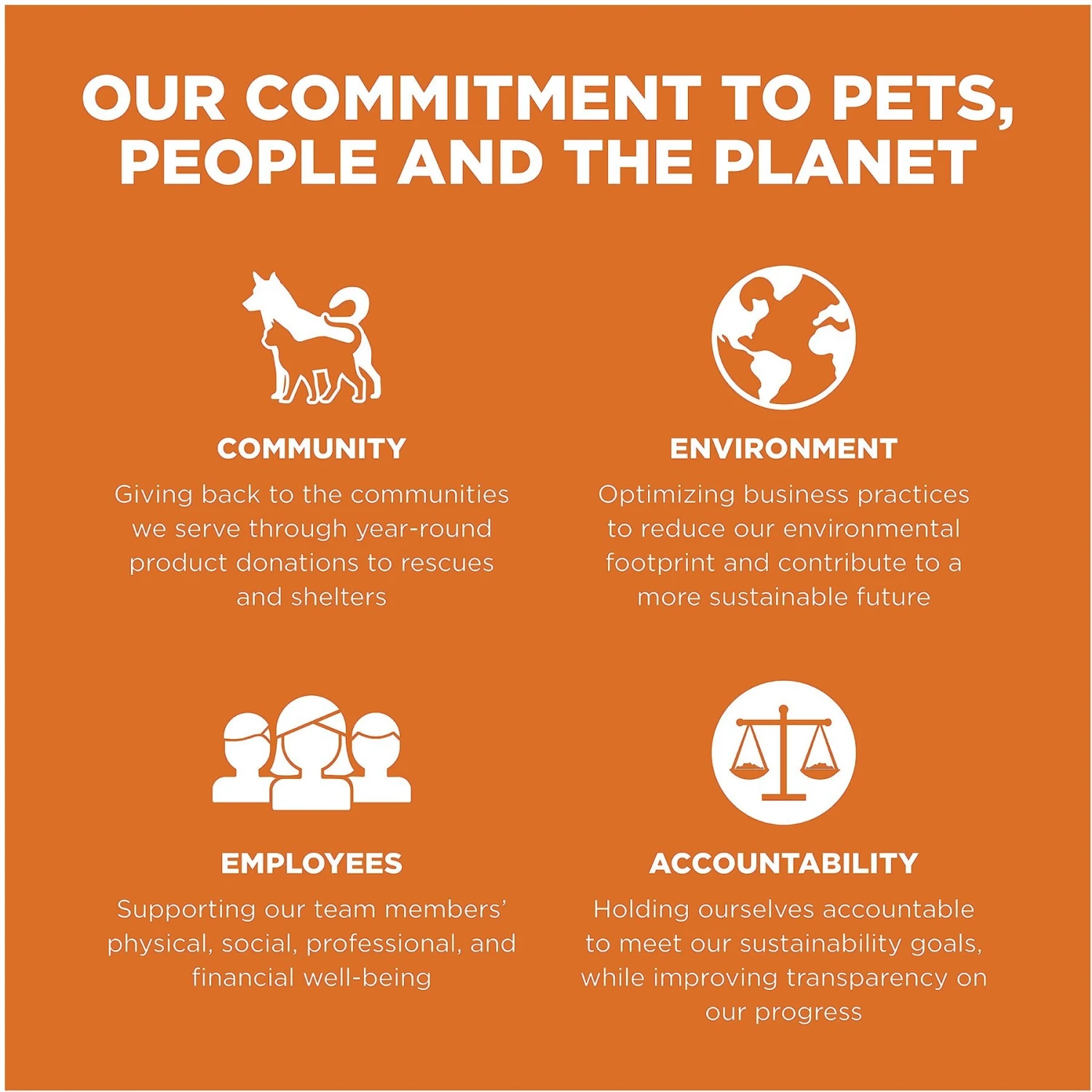 Go! Solutions Skin + Coat Care Grain-Free Salmon Recipe Dry Cat Food 9 Go! Solutions Skin + Coat Care Grain-Free Salmon Recipe Dry Cat Food - Image 9