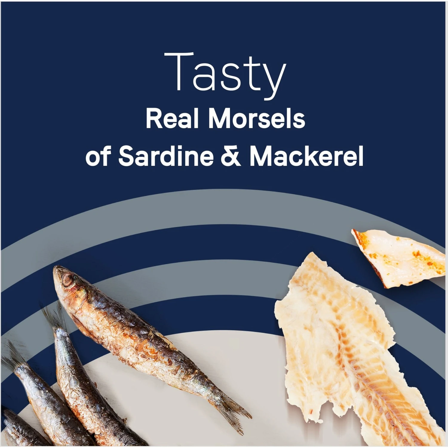 CANIDAE Adore Grain-Free Sardine & Mackerel In Broth Canned Cat Food 5 CANIDAE Adore Grain-Free Sardine & Mackerel In Broth Canned Cat Food - Image 5