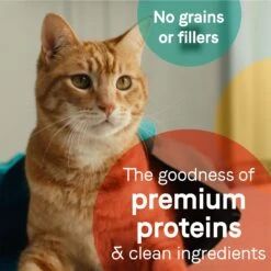 CANIDAE Adore Grain-Free Tuna, Chicken & Whitefish In Broth Canned Cat Food -Wellness Sales 157488 PT4. AC SS1800 V1671650093