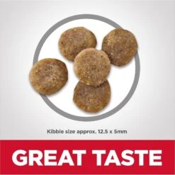 Hill's Science Diet Adult Sensitive Stomach & Skin Grain-Free Salmon & Yellow Pea Recipe Dry Cat Food -Wellness Sales 157794 PT2. AC SS1800 V1617658363