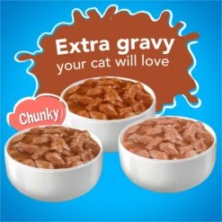 Friskies YUMbelievaBOX YUM-azing Extra Gravy Chunky Variety Pack Canned Cat Food -Wellness Sales 163996 PT2. AC SS1800 V1554147426