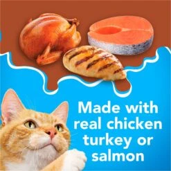 Friskies YUMbelievaBOX YUM-azing Extra Gravy Chunky Variety Pack Canned Cat Food -Wellness Sales 163996 PT3. AC SS1800 V1554147422