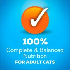 Friskies YUMbelievaBOX YUM-azing Extra Gravy Chunky Variety Pack Canned Cat Food -Wellness Sales 163996 PT4. AC SS1800 V1554147424